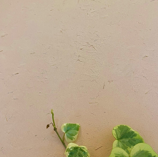 艺术漆稻草漆