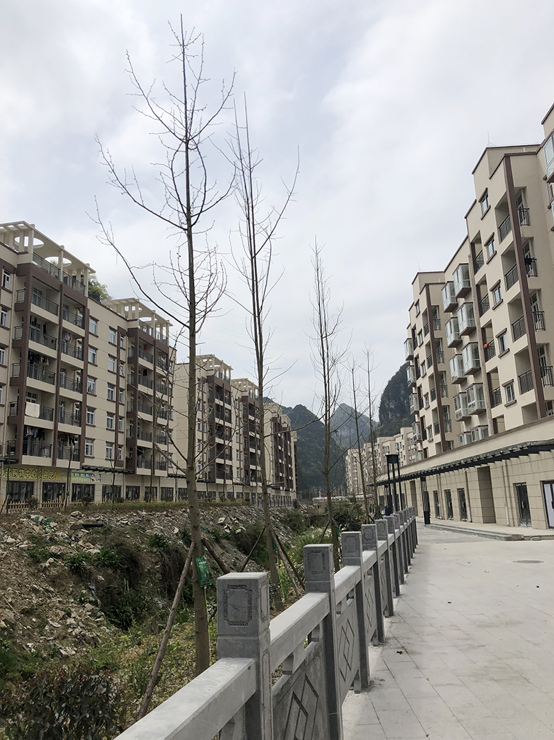 贵州内外墙涂料