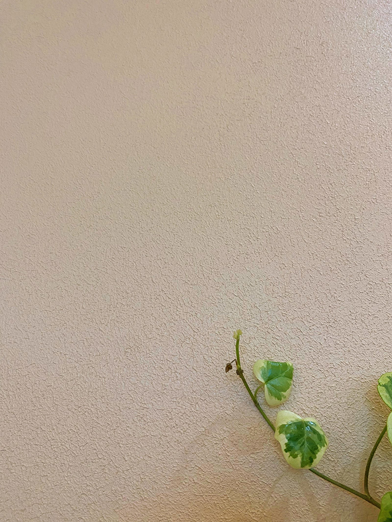 碳晶岩上墙效果