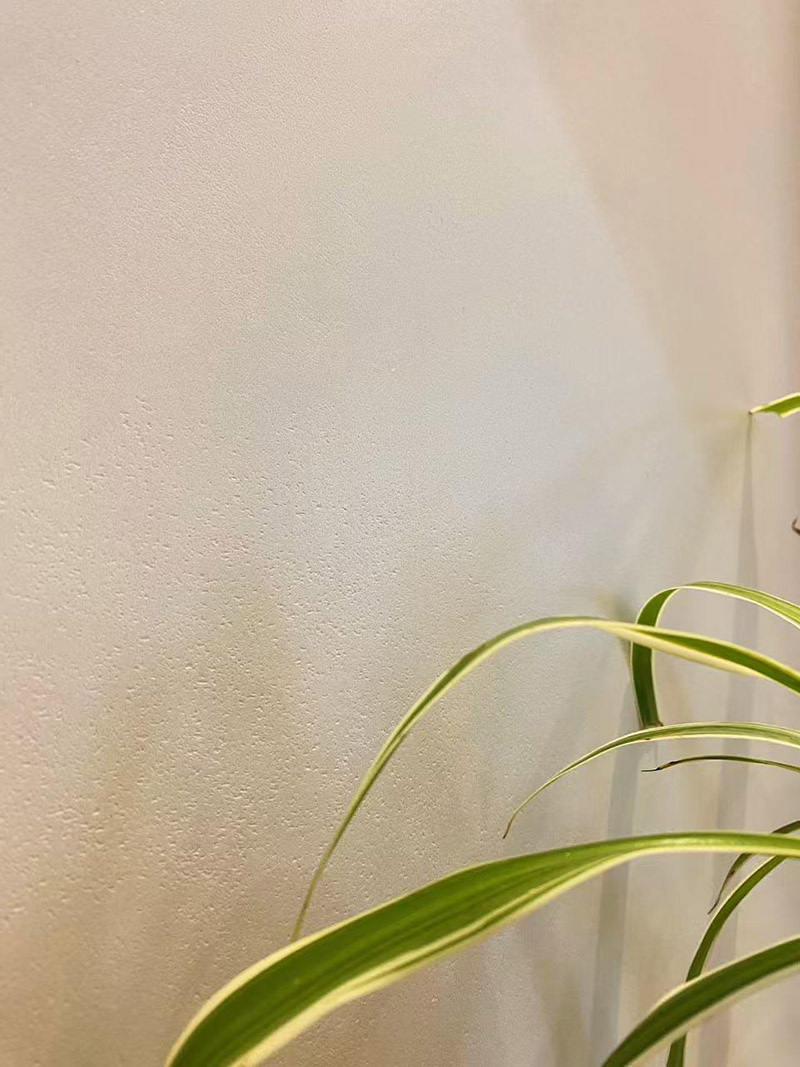微水泥上墙效果