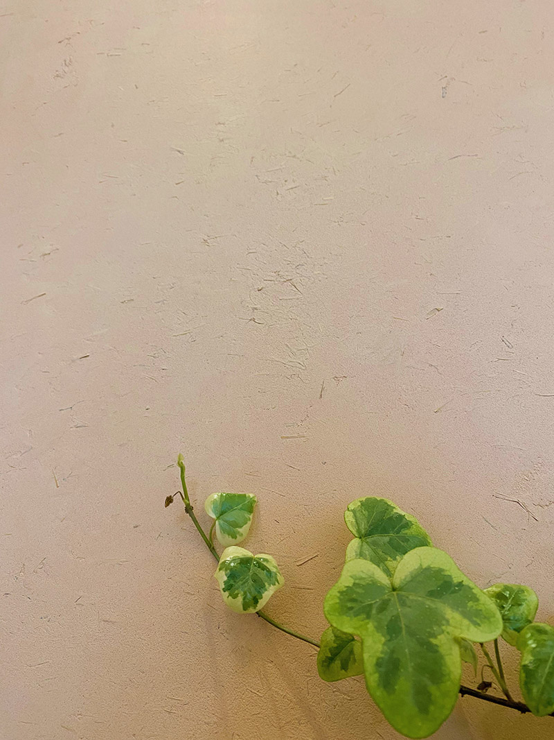 稻草漆上墙效果