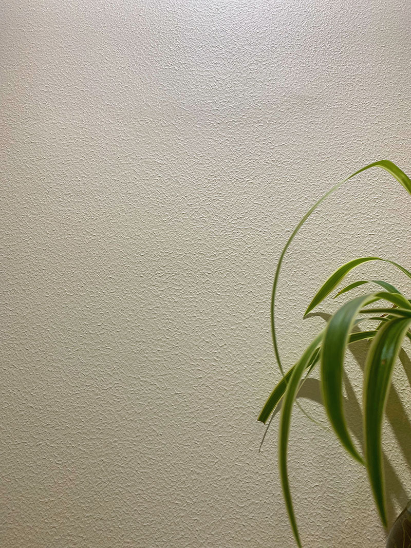 肤感小羊皮上墙效果